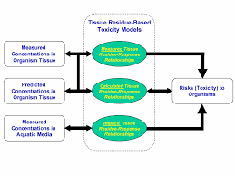 We would like to show you a description here but the site won't allow us. Application Of The Tissue Residue Approach In Ecological Risk Assessment Sappington 2011 Integrated Environmental Assessment And Management Wiley Online Library