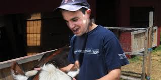 At Farmsteads they do more than grow tomatoes