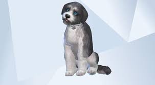 Check Out This Household In The Sims 4 Gallery Pepper Is Fully Trained And Ready To Join His New Family Mixedbreed Trained Maledog Dog Poses Sims Sims 4