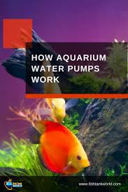 How Aquarium Water Pumps Work Fish Tank World Fish Tank Aquarium Pump Fresh Water Fish Tank