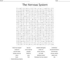 Chapter 7 The Nervous System Worksheet Answers In 2020 Nervous System Activities Nervous System Nervous