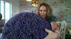 Wicker park faux flower indoor/outdoor garden spheres. Wicker Park 19 Faux Floral Oversized Garden Sphere On Qvc Youtube