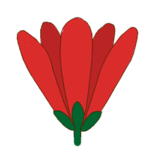 Flowers contain the plant's reproductive structures. Petal Wikipedia