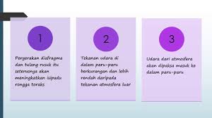 Sains tingkatan 3 kssm i bab 8 keradioaktifan i 8.2 atom dan nukleus. Nota Ringkas Sains Tingkatan 3 Bab 10 Part 1 Youtube