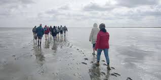 Recommended by 329 other cyclists, browse 81 pics and 20 insider tips—and get there with komoot! Weltnaturerbe Wattenmeer Unser Carolinensiel