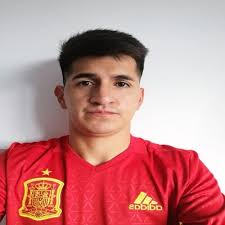 LAS AMERICAS LEAGUES