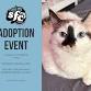 10/19 Adoption Event at PetSmart Central Park event image