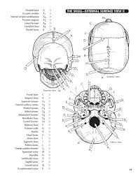 Check spelling or type a new query. Anatomy Coloring Workbook 4th Edition Author The Princeton Review Author Edward Alcamo Random House Children S Books