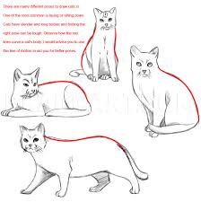 At this point, work on the cat's fur. How To Draw A Realistic Cat Draw Real Cat Step By Step Drawing Guide By Dawn Dragoart Com