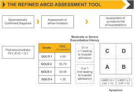 Image result for COPD Exacerbation Decision Tool
