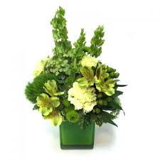 March 17th florist flower arlington grand prairie, tx flower florist delivery. St Patricks Day Flowers St Patrick S Day Gifts Aurora Il Florist Schaefer Greenhouses Montgomery Illinois