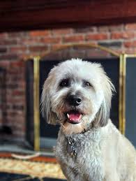 Steven A Dutton family with wife Angela D Dutton and son's Fayetteville  Arkansas USA