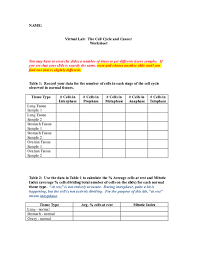 Try to remember, you always have to care for your child with amazing care, compassion and affection to be able to help him. Virtual Lab The Cell Cycle And Cancer Worksheet Promotiontablecovers