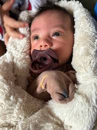 Weston Dean Peterson Obituary November 28, 2025