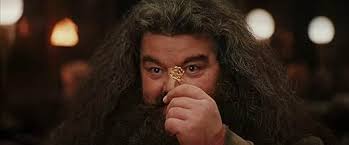 Harry Potter and the Sorcerer's Stone (2001)