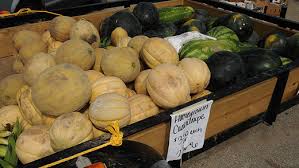 The green stripes should be a deep, dark green, while the pale stripes should be a get a quick workout in while you shop and lift the watermelons at the store to pick the perfect one. Thump Test There S A Better Way To Pick A Ripe Watermelon