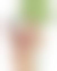 Kefla (Jakuson_Z) [Dragon Ball Super] - Hentai Pics Hub