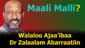 What a poem from dr zelalem wow. Walaloo Dr Zalaalam Abarraatiin Maali Malli Dr Zelalelem Abera Poem Shewa Times Youtube