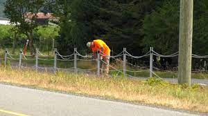 Check spelling or type a new query. Cable Fence Built Along Section Of Canada U S Border Near Vancouver Ctv News