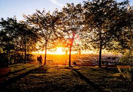 In some cases, the sun will be the main focus of the photo, while in others, the main focus will be something else with the sunset as the backdrop to the. What Is Golden Hour And How To Use It In Your Photography