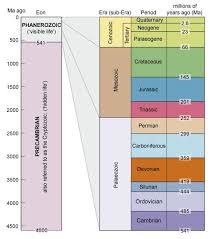 The Stratigraphic Column Or International Geological