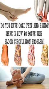 This Amazing 800 Years Old Recipe Can Cure Any Heart Problem And Disease Circulation Problems Poor Circulation Health