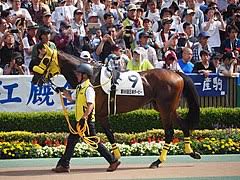 2021年 第2回東京競馬 第12日 第11競走 東京優駿（gⅰ）〔第88回日本ダービー〕 2,400メートル（芝・左）. ç¬¬86å›žæ±äº¬å„ªé§¿ Wikipedia