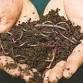 Compost & Worm Farm Workshop with In Our Hands event image