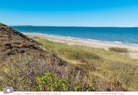 Download this free picture about dänemark landschaft landscape from pixabay's vast library of public domain images and dänemark landschaft landscape danmark bauernhof. Urlaub In Danemark Wunderschones Limfjord