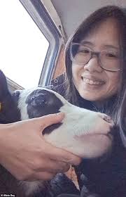 I was targeted' says US activist jailed for walking pet cow in Red Square