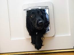 bob vila radio pet doors pet doors dog door pets