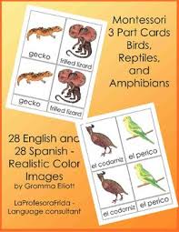 Birds That Start With Q In Spanish Montessori 3 Part Cards Fish Amphibians Reptiles Spanish And English Reptiles Amphibians Montessori