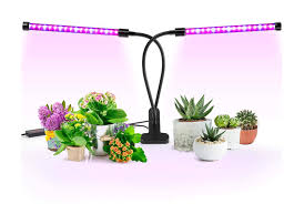 Best Grow Lights Reviewed By Succulent Lovers Https Succulentcity Com Best Grow Lights Reviewed By Succul Grow Lights For Plants Best Grow Lights Grow Lights
