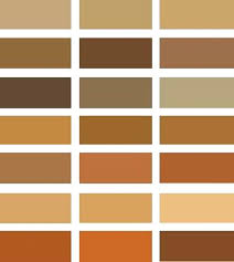 Ton sür ton kombinler hazırlayın. Bej Tonlarinda Yatak Odasi Ic Mekanlari Dairenin Ic Bej Rengi Yatak Odasi