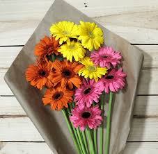 When you want to plant more gerberas and save money doing so, harvest the seed yourself from an existing plant. Gerbera Daisies Farm Fresh Avas Flowers