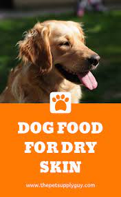 Best Dog Food For Dry Skin Ratings Reviews Best Dog Food Dog Food Recipes Vegetarian Dog Food Recipe