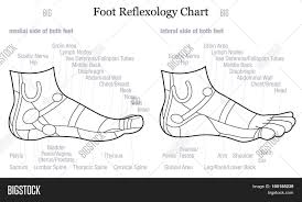 Foot Reflexology Vector Photo Free Trial Bigstock