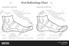 foot reflexology vector photo free trial bigstock