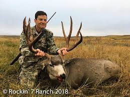 Three days professionally guided hunting. Mule Deer Hunting