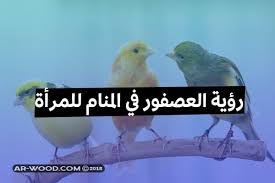 إذا حلمت الحامل بأنها تقوم بحلب بقرة فذلك يدل على أن زوجها. Ø±Ø¤ÙŠØ© Ø§Ù„Ø¨Ù‚Ø±Ø© ØªÙ„Ø¯ ÙÙŠ Ø§Ù„Ù…Ù†Ø§Ù…