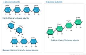 Biochemistry Tests For Food Macromolecules Pin On Biology