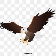 Maybe you would like to learn more about one of these? Eagle Png Images Download 2800 Eagle Png Resources With Transparent Background