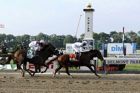 2010 Belmont Stakes Race Re Cap And Down The Stretch They