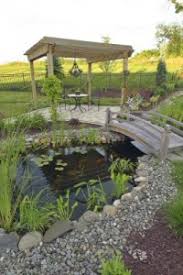 Happy to announce our glowing collection of fun fish designs! Fish Pond Installation Neave Group Ny