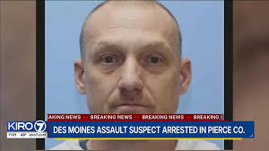 Suspect in custody after pistol-whipping two adults in Des Moines