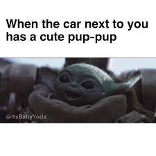 Need To Get Me A Pup Babyyodamemes Yoda Funny Funny Star Wars Memes Yoda Meme