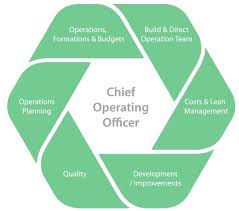 Ad Interim Coo Interim Chief Operating Officer Role Of Ceo Chief Marketing Officer Chief Operating Officer