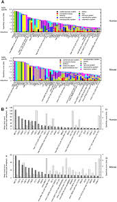 And localization profiles in 48 data for model animals such as mouse, rat, and chimpanzee. A Mammalian Microrna Expression Atlas Based On Small Rna Library Sequencing Cell