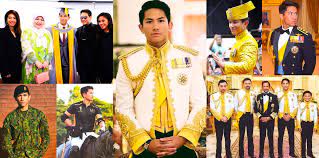 A distinction is made in the netherlands between the royal family and the royal house. Prince Mateen Of Brunei The Royal Watcher