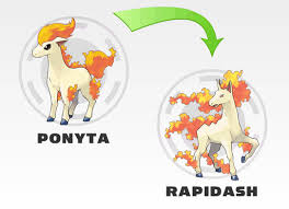 Znalezione Obrazy Dla Zapytania Pokemon Ponyta Evolution